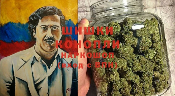 apvp Алексин