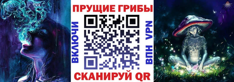 Галлюциногенные грибы Psilocybine cubensis  Теберда 
